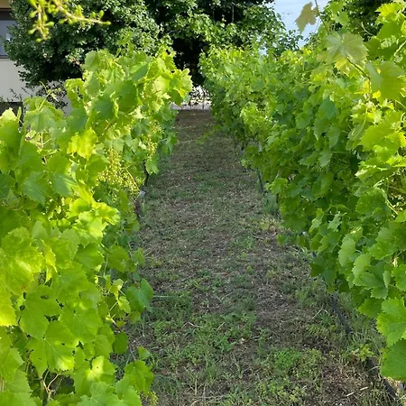 Διαμέρισμα Serenity House *